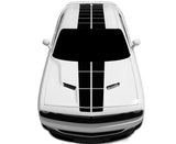 Dodge Challenger Pulse Dual Racing Stripes